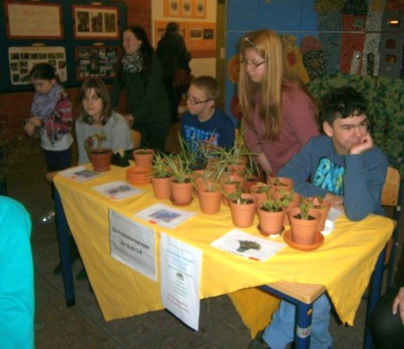 Die Schüler verkaufen die selbstgezogenen Pflanzen .